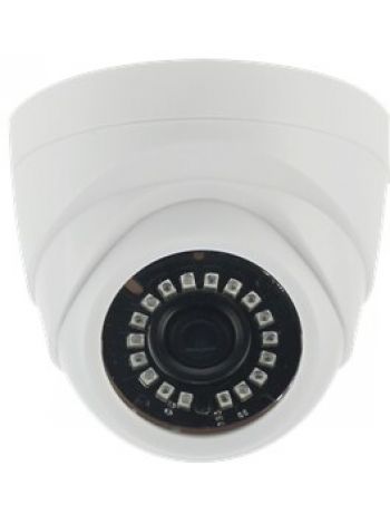 AltCam DDF21IR