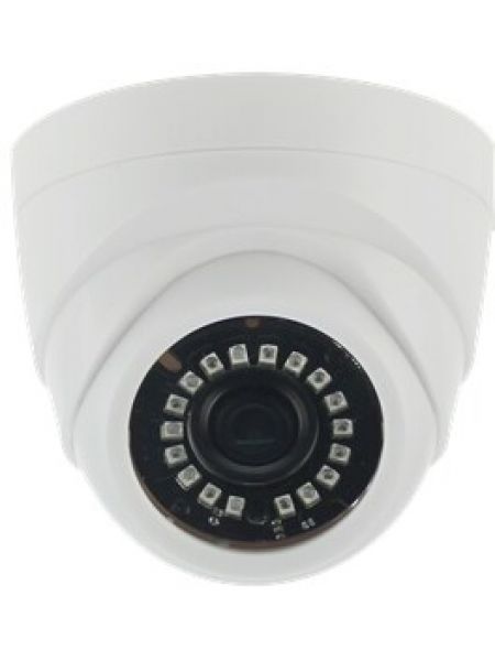 AltCam DDF21IR
