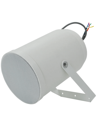 Tantos TSo-SW20p громкоговоритель настенный