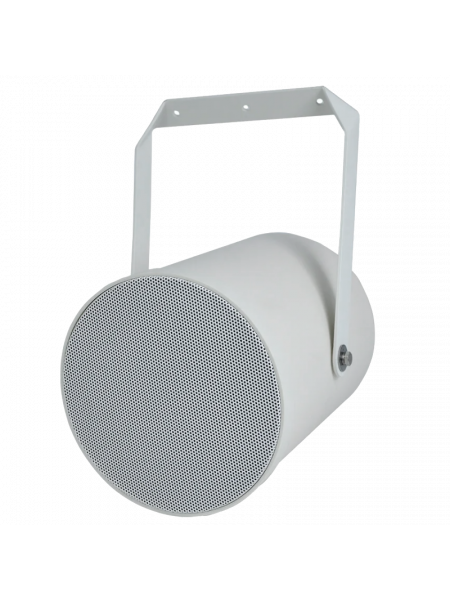 Tantos TSo-SW20p громкоговоритель настенный