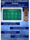 Tantos NEO HD SE Tuya (белый) и Stich HD (медь) (комплект многофункционального домофона с Wi-Fi)