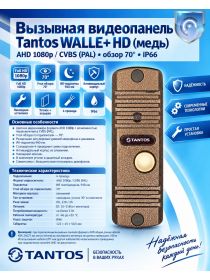 Tantos WALLE+ HD (медь) вызывная видеопанель